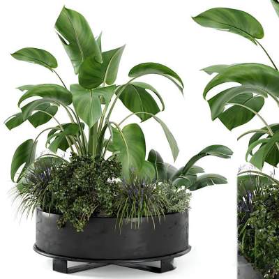 植物堆